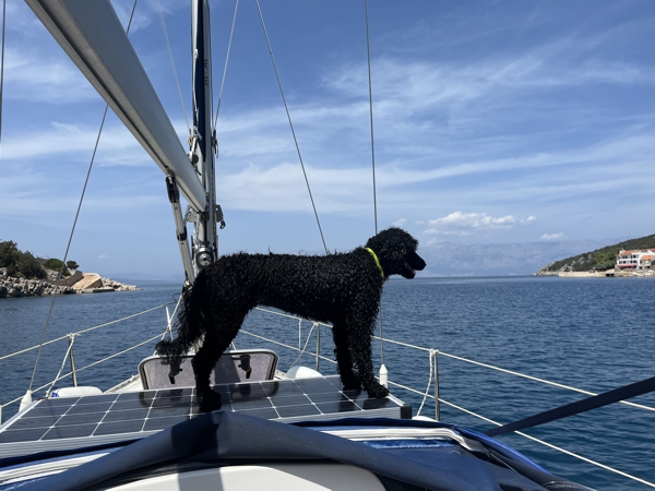 Sre�a se jav�lja iz Dalmacije...